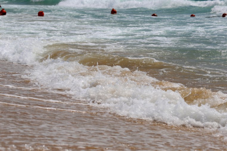 Edde Sands on Thursday 